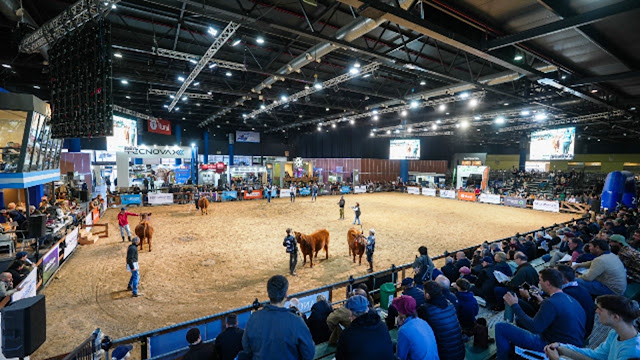 Expo Angus Otoño 2026.