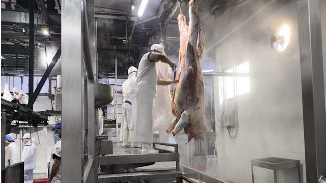 La caída de la faena ya impacta en los frigoríficos: trabajan hasta un 20% menos y algunos operan a pérdida
