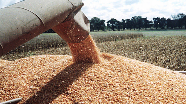 Mejoran los márgenes agrícolas, pero la carga tributaria sigue limitando la rentabilidad