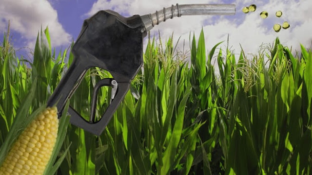 Se Establecieron Nuevos Precios Para El Biocombustible