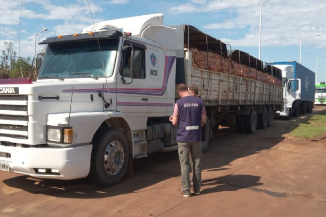 Importante Crecimiento En La Fiscalización De Transporte