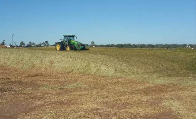 Forrajes: desarrollan una herramienta para compactar los silos aéreos y reducir hasta un 15% los costos