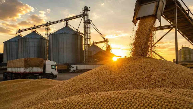 Una oportunidad para Argentina: Europa aumenta la demanda de harina de soja