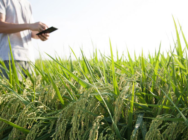 Destacan el crecimiento de empresas tecnológicas vinculadas con el sector del agro en Córdoba
