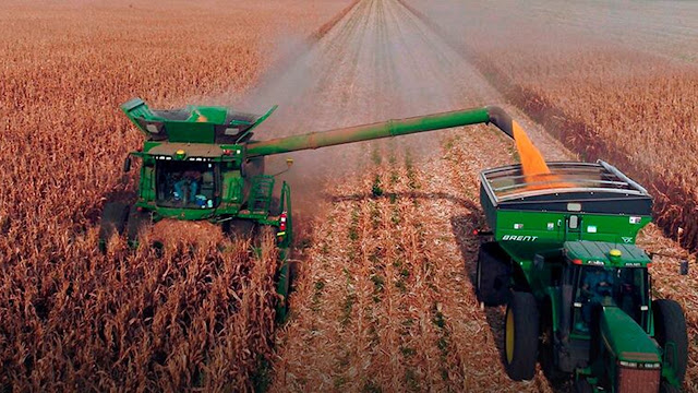 Maíz: Argentina Mantiene Un Ritmo Exportador Realmente Excepcional