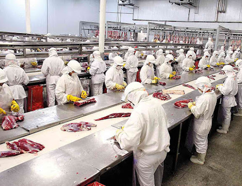 China autoriza nuevas exportaciones.