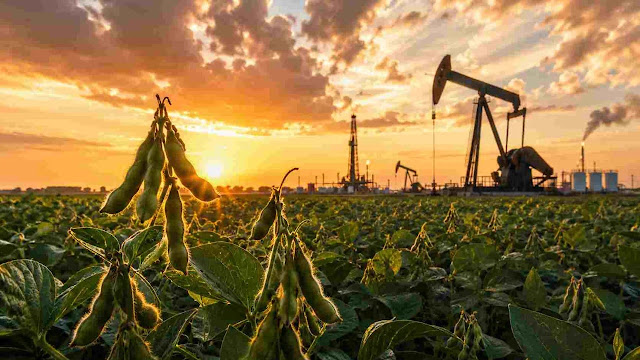 Las Exportaciones Argentinas Crecieron 24,6% En El Primer Semestre De 2026