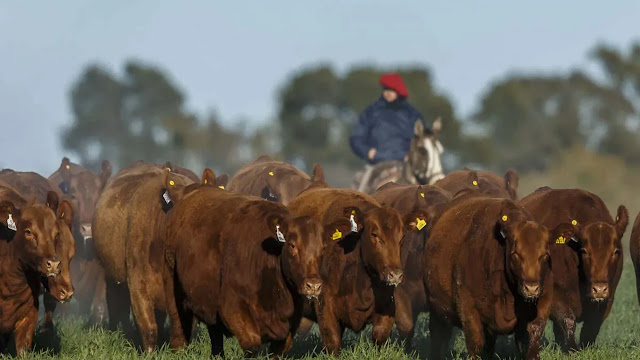 CRA exige frenar los descuentos en la hacienda por VISEC Carne