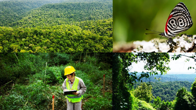 Se Destacado Proyecto De carbono.
