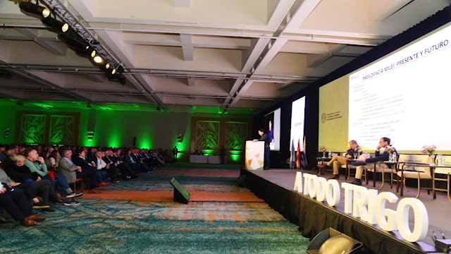 El trigo Volvió Al Centro De La Escena: Suba Internacional y Expectativa Por A Todo Trigo 2026
