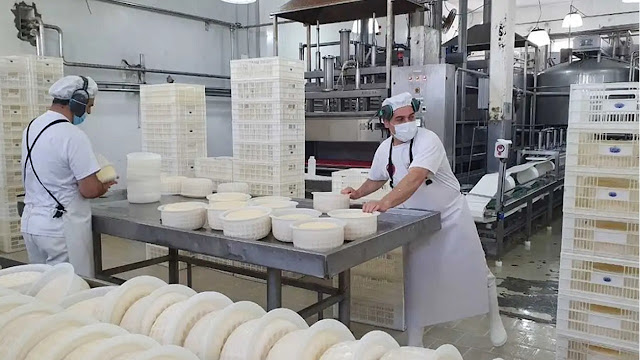 Argentina Produjo Más Leche, Pero El Desafío De La Industria Está En Transformar Mejor Cada Litro