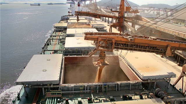 Soja Con Histórico Un Noviembre En Exportaciones
