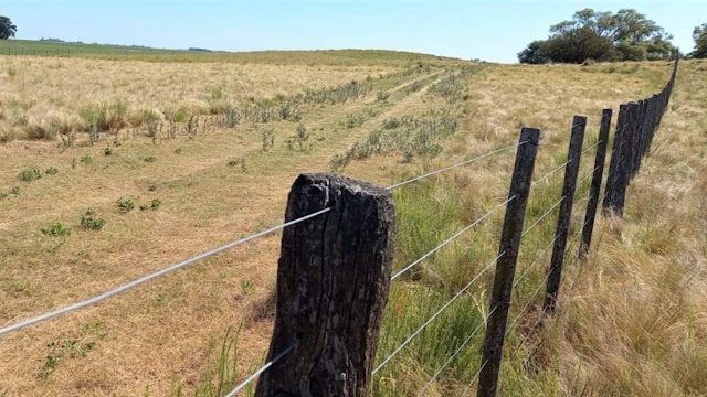 Homologación Emergencia Agropecuaria CNEyDA .