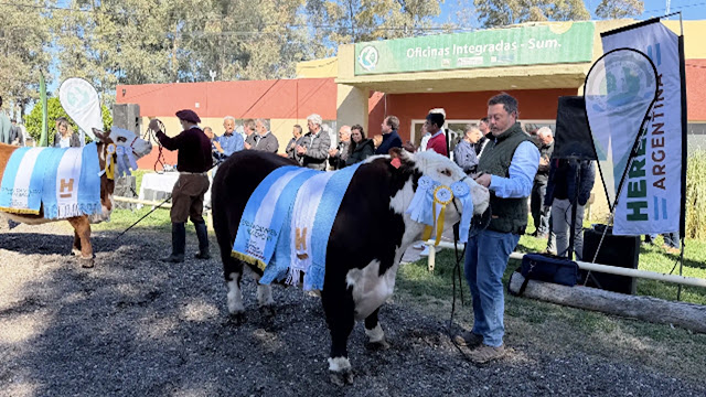 General Conesa: la Exposición Rural concretó ventas de bovinos por más de $1.300 millones