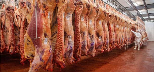 Exportaciones Carne Bovina Octubre Con Balance Positivos