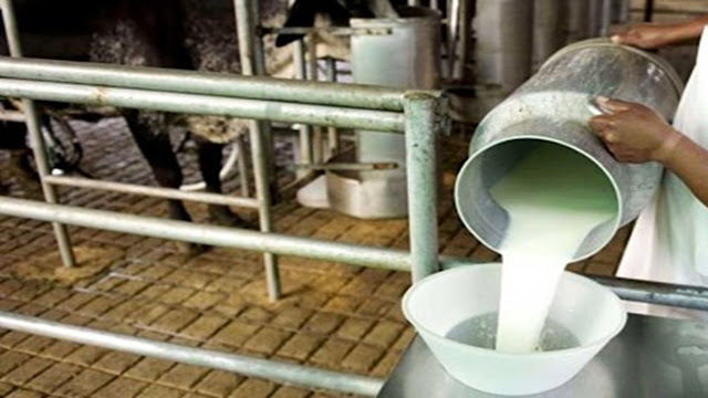 El Precio De La Leche Volvió a Subir, Aunque La Mejora Fue Leve
