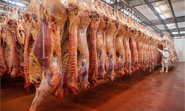 Exportaciones y Precios Carne.