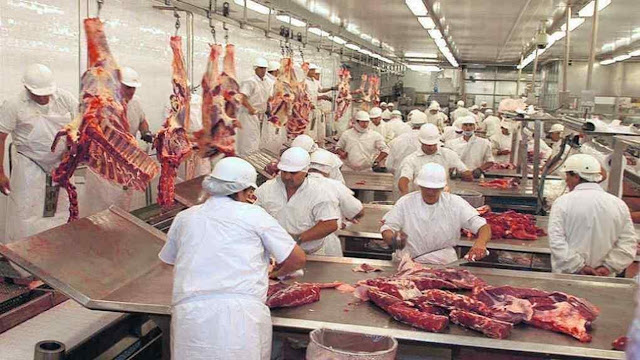 Se levanta la histórica restricción: la Patagonia autoriza el ingreso de carne con hueso plano