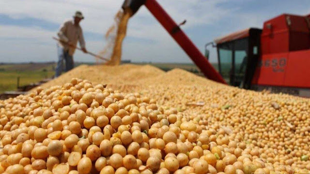 Proyectan cosecha récord de 154,8 millones de toneladas para la campaña 2025/26
