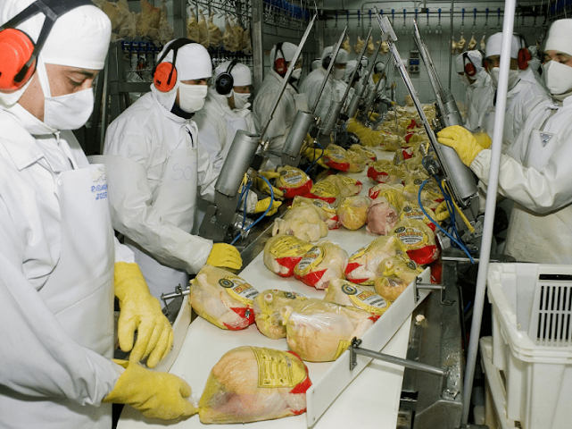 Se reabre el comercio de productos avícolas con Emiratos Árabes y Sudáfrica
