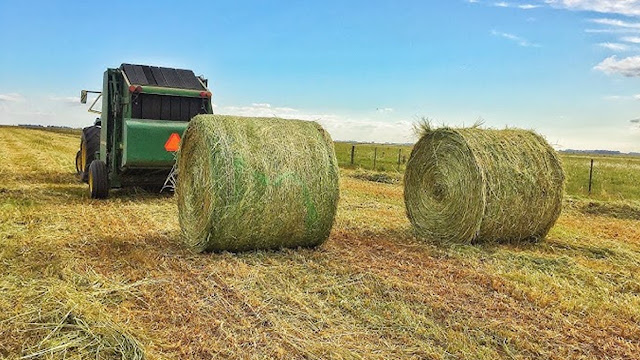 INTA y SENASA Fortalecen El Acompañamiento a Productores Ganaderos Ante La Emergencia Hídrica
