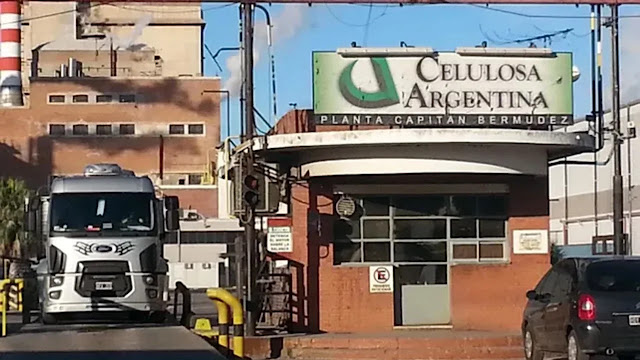 Celulosa reportó pérdidas por $ 172.634 millones y está cerca de la quiebra
