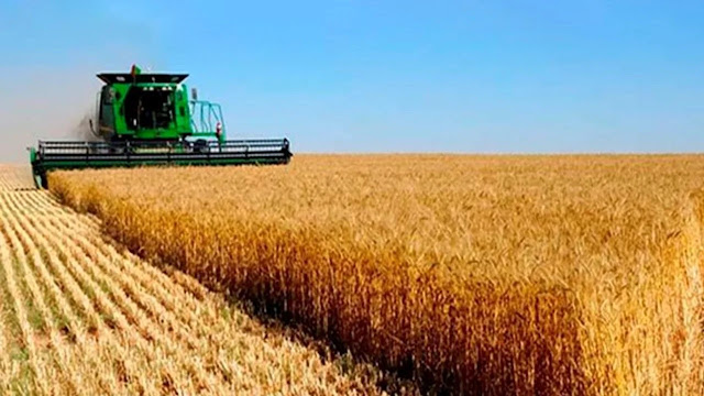 El sector agroexportador liquidó U$S 1.117 millones en octubre
