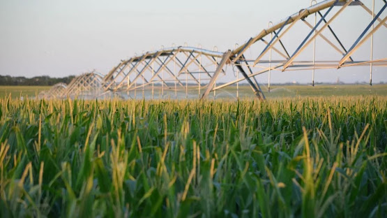 El riego gana terreno en el agro argentino y podría cuadruplicar su superficie