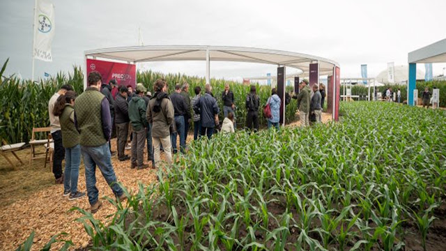 Brecha Productiva En El Agro