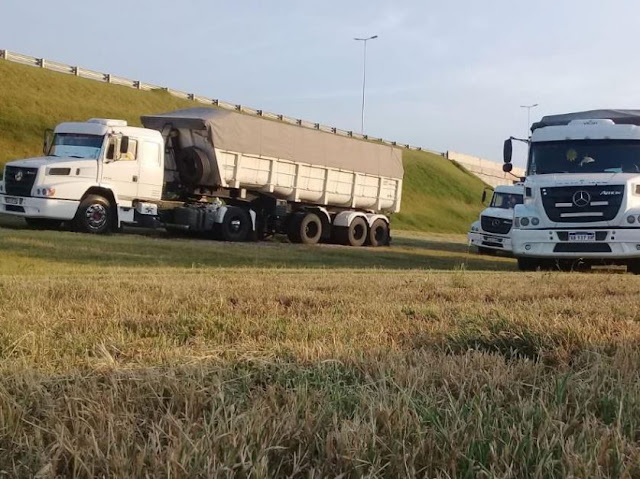 Transporte de cargas : acuerdan suba de 25% en tarifa