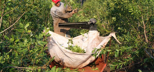 Acuerdo Yerbatero En Misiones