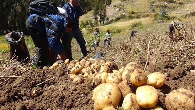 Reforma Laboral Agropecuaria.