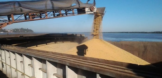 Mercado Soja y Maíz En La Argentina