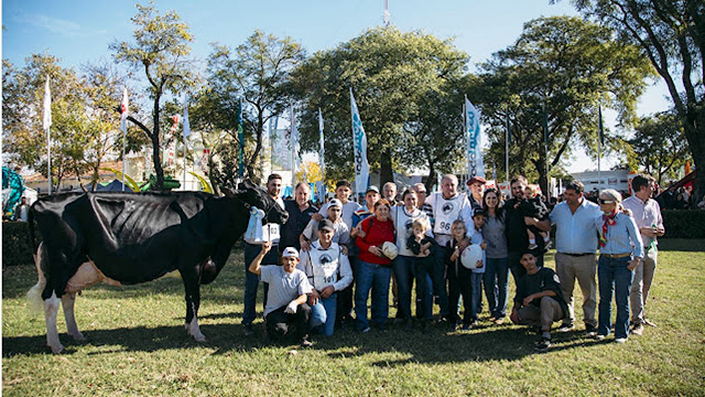 Premios a Los Campeones De TodoLáctea 2026