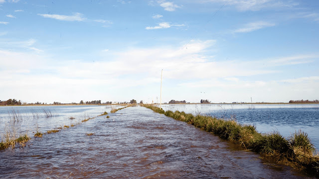 El Gobierno oficializó la asistencia impositiva para el campo inundado