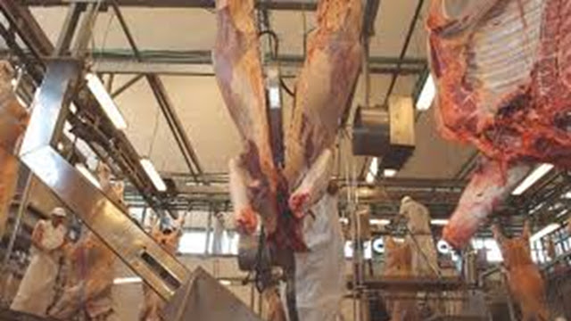 Ultimo Informe (ABC) La Faena Bovina Diciembre 2025.