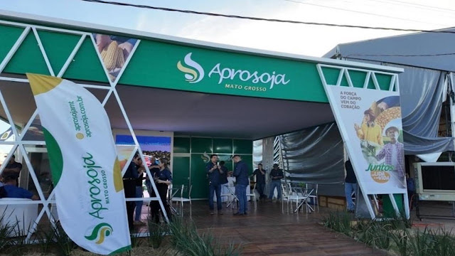 Soja: el mercado argentino opera a dos velocidades y Brasil vuelve a poner al clima en el centro de la escena