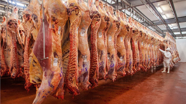 Producción Faena Bovina Marzo 2026