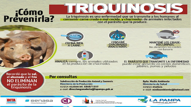 Semana de la lucha contra la Triquinosis” : recuerdan pautas de prevención