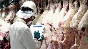 Exportaciones De Carne Vacuna Junio.