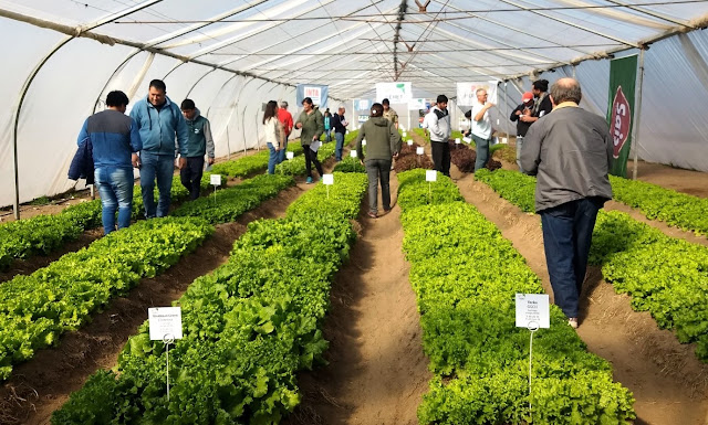 La Jornada Hortícola 2023 Se Realiza El 1 De Diciembre En El CERET