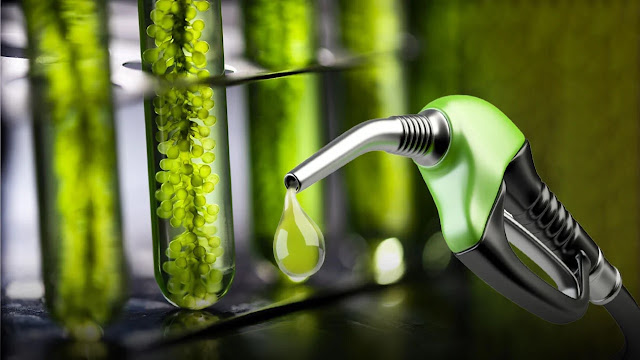 El Gobierno fijó los precios mínimos para biocombustibles de Octubre