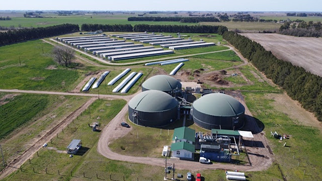 De Criadero De Cerdo a Transformación De Energética Circular