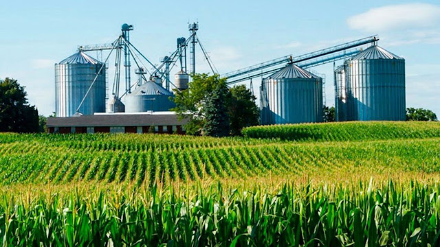 La liquidación de divisas del agro creció 17% en septiembre y alcanzó los US$ 3.228 millones