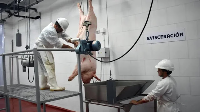 Laprida inauguró un frigorífico municipal para faena porcina y fortalecerá el agregado de valor local