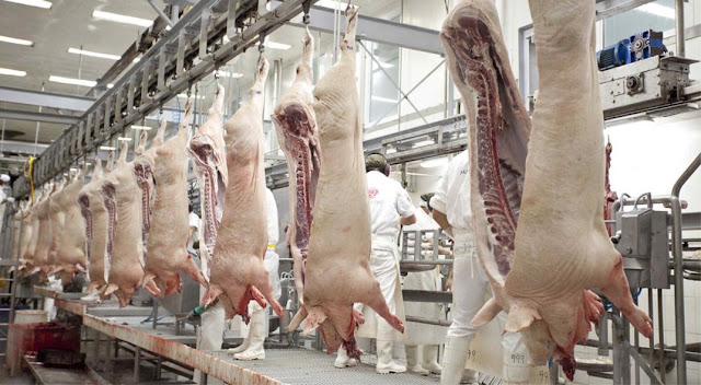 Crece En El consumo De Carne Porcina