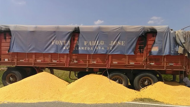 Las ventas de maíz superan los 26 millones de toneladas
