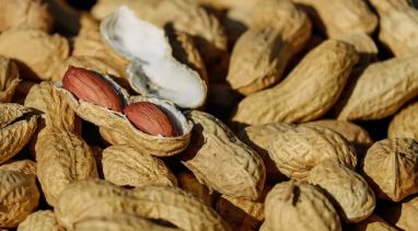 La Secretaría de Agricultura distribuyó entre 10 empresas 3.650 toneladas de pasta de maní
